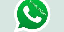 Sangat Luar Biasa! Aplikasi YoWhatsApp Terdapat Fitur Canggih Ini Whatsapp Mod