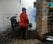 Cegah Penyebaran Virus DBD, Kelurahan Sesetan Lakukan Fogging Focus Fogging Focus