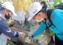 Tekan Lonjakan Kasus DBD, Puskesmas IV Densel Gelar PSN di Rumah Warga Tekan DBD