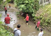 Lestarikan Sungai Dari Hulu Hingga Ke Hilir, KPS Jempiring Putih Bersihkan Tukad Paang Indah Penatih KPS