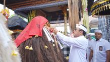 Wali Kota Jaya Negara Hadiri Karya Ngeratep, Melaspas lan Pasupati di Pura Dalem Segening, Monang Maning Hadiri Karya Ngeratep