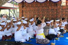 Jembrana Rayakan Tumpek Uye Secara Sekala dan Niskala Rayakan Tumpek Uye