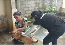 Waspada Penularan Rabies, Distan Kota Denpasar Lakukan Vaksinasi Door to Door Rabies