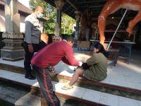 Cegah Penyebaran Rabies, UPTD Puskeswan 3 Seltim Vaksinasi 49 Ekor Anjing Cegah Penyebaran Rabies