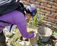 Antisipasi Demam Berdarah, Banjar Karang Suwung Lakukan PSN dan Larvasida Antisipasi Demam Berdarah