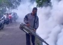 Tekan Kasus Demam Berdarah, Pemkot Denpasar Gencar Lakukan Fogging Fogging