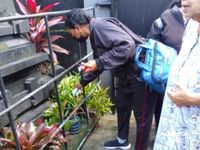 Melalui Gertak PNS, Puskesmas III Denut Rutin Cegah BDB DB