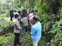 Diduga Angkut Kayu Hasil Pembalakan Liar di Madenan, Supir Truk Diamankan Pembalakan Liar