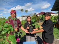 Tekan Angka Inflasi, Kelurahan Penatih Bagikan Bibit Sayuran Kepada PKK Se-Kelurahan Penatih Bagikan Bibit Sayuran