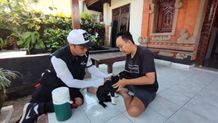 Cegah Rabies, Pemkot Denpasar Gelar Vaksinasi Pada Hewan Peliharaan Warga Vaksinasi Rabies
