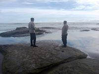Bangkai Ikan Paus Terdampar di Pantai Batu Lumbang ikan paus terdampar