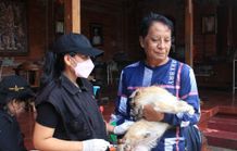Distan Denpasar Genjot Vaksinasi Hewan Penular Rabies Vaksinasi Rabies