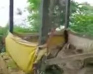 Pelinggih di Pura Puncak Cemara Rusak, Diduga Ada Oknum Ingin Curi Barang Berharga Pelinggih rusak