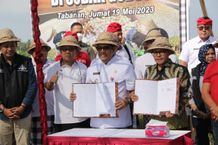 Di Tengah Sawah Subak Gubug, Bupati Sanjaya dan Wali Kota Malang Tanam Kedelai dan Teken MoU MoU