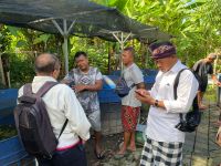 Desa Dangin Puri Klod Realisasi PKTD Lewat Penebaran 8.000 Benih Lele PKTD