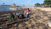 DLHK Denpasar Respon Cepat Penanganan Sampah Kiriman di Kawasan Pantai Sanur Sampah Kiriman