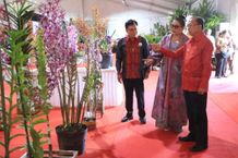 Gubernur Wayan Koster Buka Pameran Anggrek International sebagai Implementasi Wana Kerthi anggrek