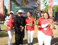 Putri Koster Ingin Anggrek Lenjong Kembali Warnai Halaman Rumah Masyarakat Bali anggrek