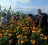 Kelurahan Peguyangan Tekan Laju Inflasi Melalui Pemanfaatan Lahan di Subak Sembung Peguyangan
