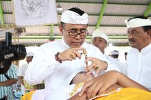 Wali Kota Jaya Negara Ngayah Nyanggingin Serangkaian Karya Metatah Masal Desa Adat Pohgading Metatah Massal