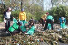 Desa Sidakarya Gotong Royong Lakukan Aksi Penghijauan dan Bersih Sampah di Pesisir Pantai Pesisir Pantai