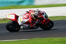 Pebalap Astra Honda Siap Persembahkan Podium di ARRC Jepang ARRC