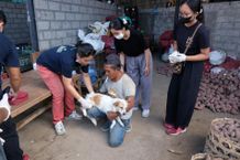BEM FKH Unud Adakan Vaksinasi dan Sterilisasi Gratis untuk Anjing dan Kucing Liar Unud
