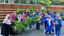 BRI Bantu Urban Farming, Ciptakan Kawasan Hijau di Desa Padangsambian Klod Denpasar BRItani