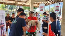 Tanggap Rabies, FKH UNUD Mengadakan Pengabdian Kepada Masyarakat di Desa Nyalian Banjarangkan Klungkung Unud