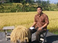 Akademisi Nengah Muliarta: Alih Fungsi Lahan Turunkan Produksi Pangan Nasional Pertanian