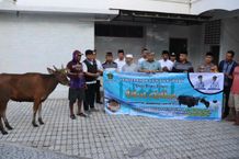 Idul Adha 1444 H, Bupati Tamba Serahkan Hewan Kurban Hewan Kurban