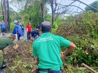 Tim Respon Cepat Desa Sumerta Kelod, Tangani Pohon Tumbang di Jalan Dewi Madri Tangani Pohon Tumbang