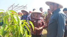 Yayasan AHM Kolaborasi dengan UIN Yogyakarta Kembangkan Eduwisata KKN
