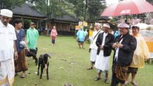 Wagub Cok Ace Hadiri Mapepada Wewalungan Jelang Puncak Karya Pujawali Pura Mandara Giri Semeru Agung Puncak Karya Pujawali