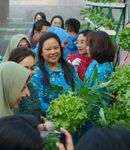 BRI Serahkan Bantuan Urban Farming, Jadikan Desa Padangsambian Klod Sebagai Percontohan BRI