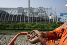 Lewat Co-Firing, 40 PLTU PLN Grup Mampu Turunkan Emisi Hingga 429 Ribu Ton CO2 pelet