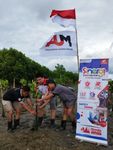 Peringati Hari Kemerdekaan RI, Dealer Honda AUM Tanam Ratusan Pohon Mangrove Bentuk Sinergi Bagi Negeri AUM