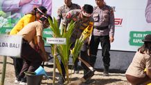 Tanam Pohon di Sanur, Kapolda Bali: dari Polri untuk Negeri Penanaman Pohon