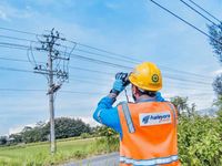 Banyak Kabel dan Tiang di Tepi Jalan, Yuk Kenali yang Mana Milik PLN Kabel PLN
