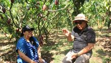 Kakao Jembrana Menuju Dunia, 40 Delegasi Negara Luar Akan Kunjungi Kebun Kakao Desa Ekasari Jembrana Kakao Jembrana
