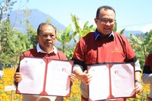 Terobosan Gubernur Koster Hasilkan Bunga Gemitir Bali Sudamala Bunga Gemitir Bali Sudamala