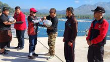 Tingkatkan Ekosistem Perairan di Danau Batur, Bupati Sedana Arta Tebar 150 Ribu Benih Ikan Nila ikan nila