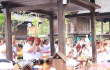 Purnama Ketiga, Bupati Sanjaya Bersama Jajaran Sembahyang Rutin di Pura Luhur Batukaru Bupati Sanjaya