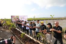 Maybank Indonesia Tanam 2.000 Bibit Mangrove untuk Rayakan Hari Keberlanjutan pada Maybank Marathon 2023 Mangrove