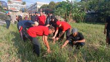 Dukung Pengendlian Inflasi, Kelurahan Renon Panen Bawang Merah Sebanyak 9 Ton Pelaksanaan panen