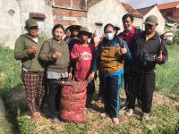 Dukung Pengendalian Inflasi, Kelurahan Panjer Panen Bawang Merah Pelaksanaan panen