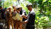 Miliki Prospek Cerah, Bupati Tamba Siapkan Bantuan Pendampingan Peternak Madu Kele Peternak Madu Kele