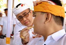 Wali Kota Jaya Negara Ngayah Nyangging Serangkaian Metatah Massal di Desa Dauh Puri Kaja Karya Metatah Massal