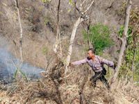 Hutan di Sanggalangit Terbakar, Dua Titik Tak Bisa Dipadamkan Kebakaran