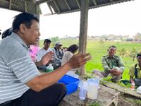 Mahasiswa Jepang Kagumi Kelestarian Sawah di Subak Jatiluwih Unud